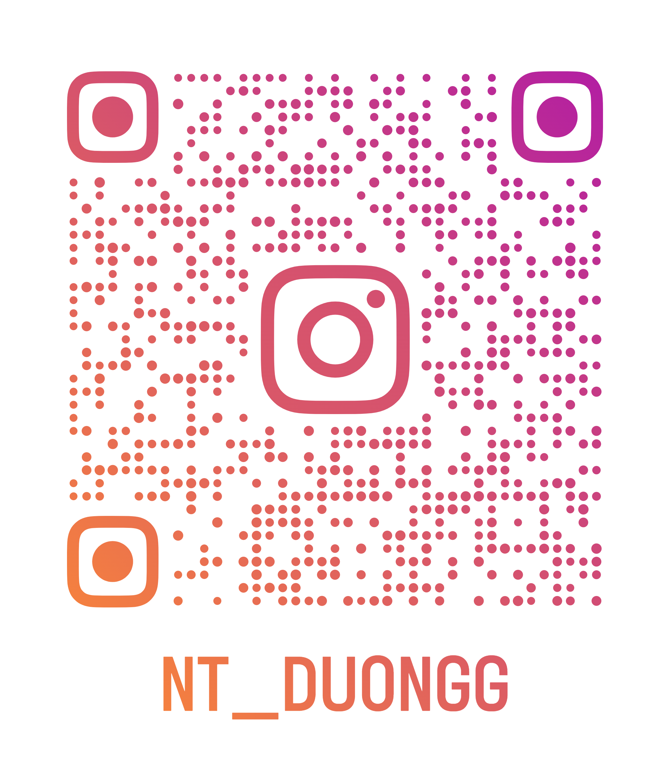qr ig